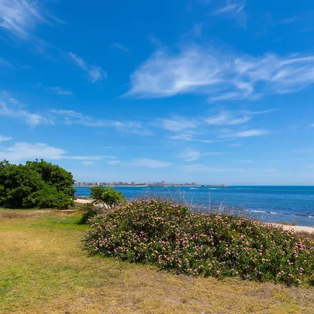 1bdr 150m From Sea With Workspace